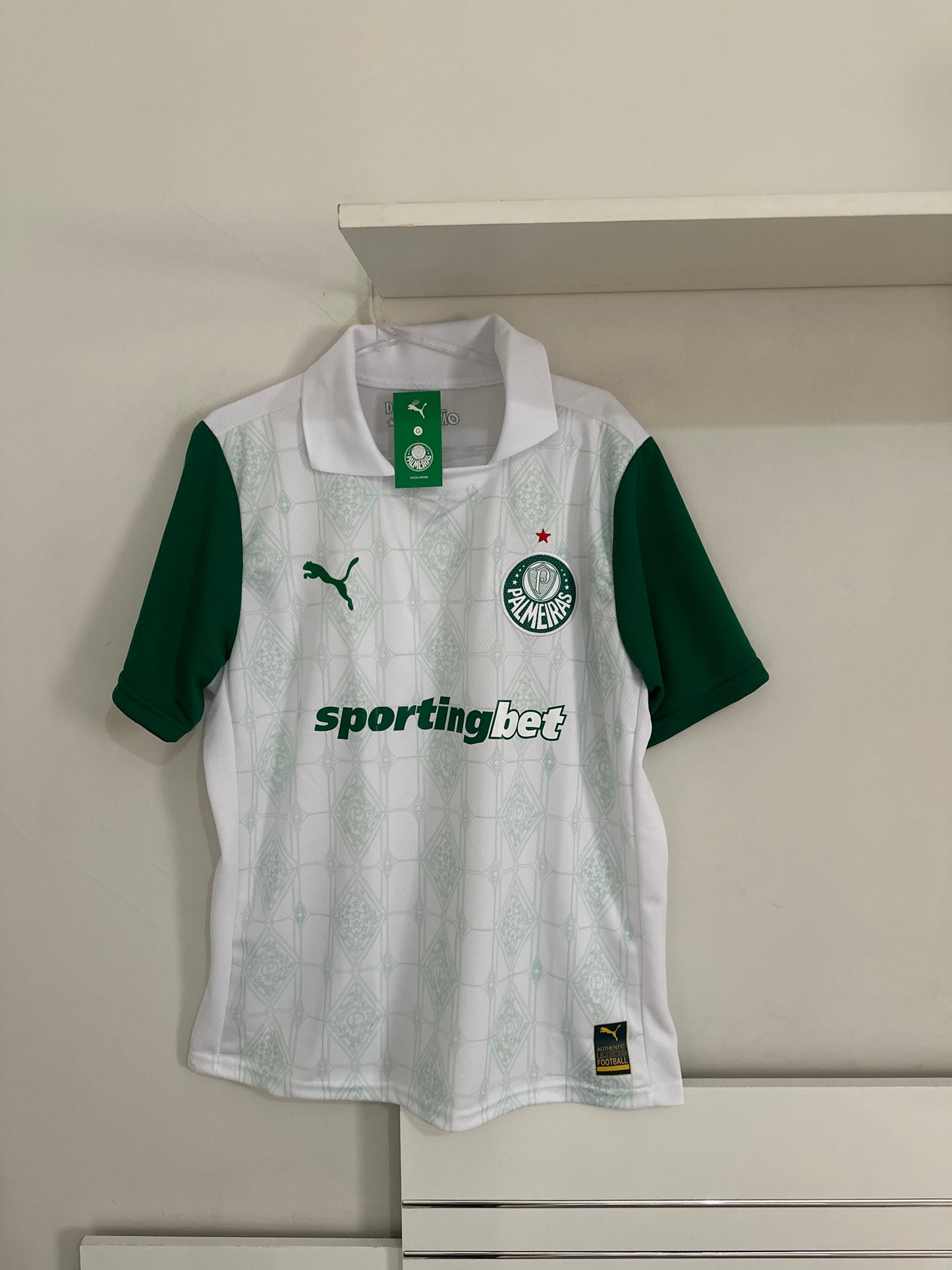 Camisas do Palmeiras