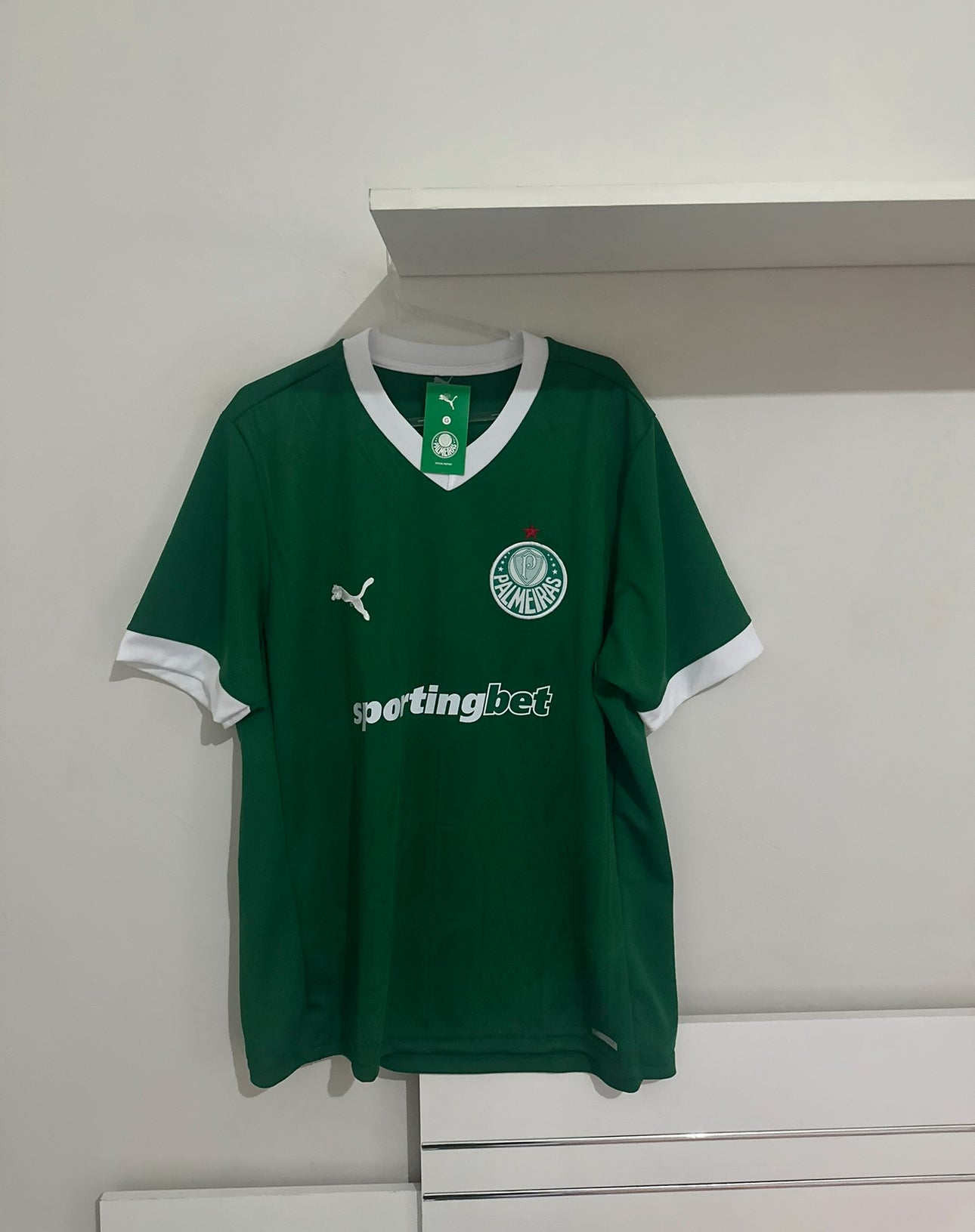 Camisas do Palmeiras